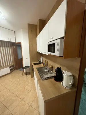 a kitchen with a sink and a microwave at Апартхотел Флора 213Б in Borovets