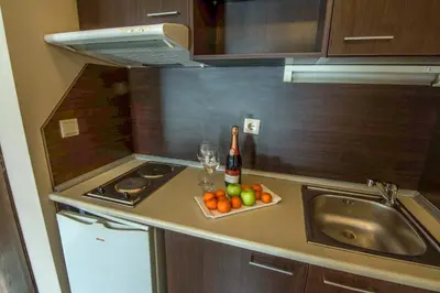 a kitchen with a sink and a bottle of wine and fruit at Banderitsa Apartment 1 in Bansko