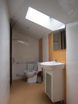 a bathroom with a toilet and a sink and a skylight at Slavina Guest House in Sapareva Banya