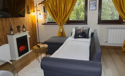 a living room with a couch and a fireplace at Borovets Dream Studio in Borovets