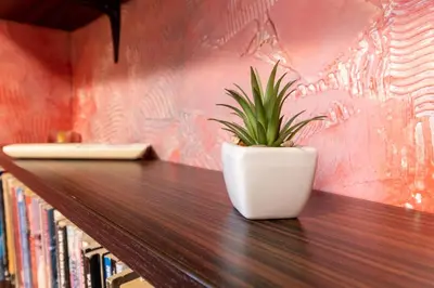 a potted plant sitting on top of a wooden table at Penthouse Tepeto in Plovdiv
