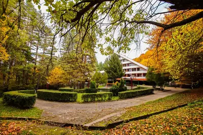 a building in the middle of a park with trees at Почивна станция - ТЕЦ Бобов дол in Bistriza