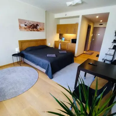 a bedroom with a bed and a table and a kitchen at Forest nest - your place to rest! in Borovets