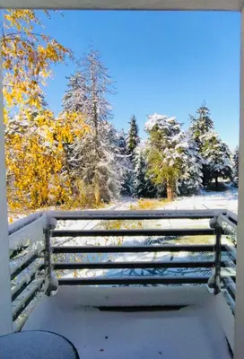 a park bench covered in snow with trees in the background at Forest nest - your place to rest! in Borovets