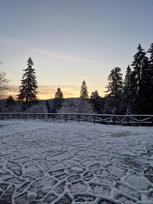 a field covered in snow with trees in the background at Къща за гости Донука in Panichishte