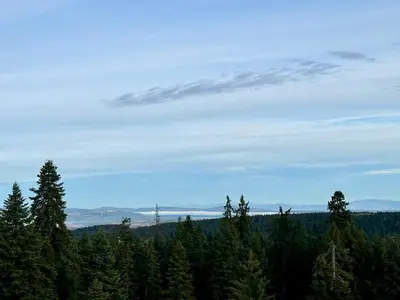 a view of a forest of trees under a cloudy sky at Sana Ski apartment 702 in Flora, Borovets in Borovets