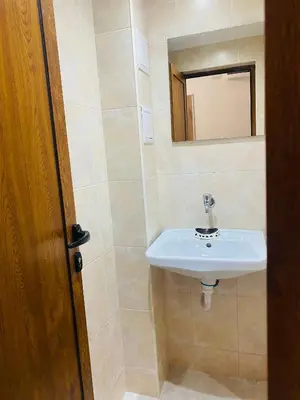 a bathroom with a sink and a mirror at Апартамент за гости Байрактарова in Smolyan