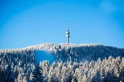 a cross on top of a hill with snow covered trees at N.Joy Holiday Apartment 413 by Sunny Hills in Pamporovo