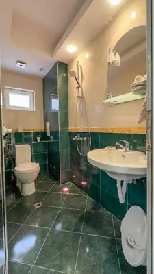 a bathroom with a sink and a toilet and a shower at Апартамент Панчо in Sofia