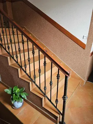 a staircase with a potted plant next to it at Cтаи за гости Бърдареви in Bansko