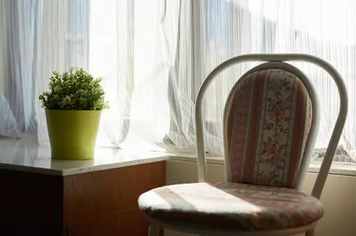 a chair sitting in front of a window with a potted plant at Guest House Mira in Sapareva Banya