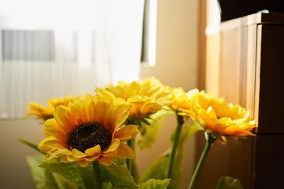 a group of yellow flowers sitting in a vase at Guest House Mira in Sapareva Banya