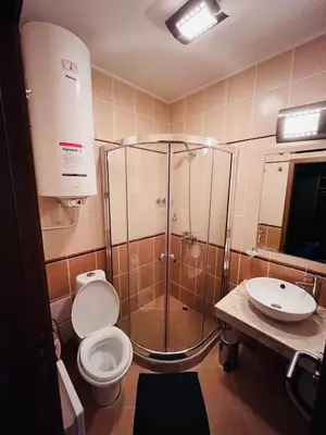 a bathroom with a shower and a toilet and a sink at Mountain Cedar Pine 1 BR Apt near Ski Gondola in Bansko