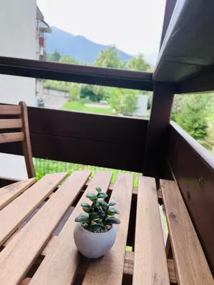 a potted plant sitting on a wooden table on a balcony at Mountain Cedar Pine 1 BR Apt near Ski Gondola in Bansko