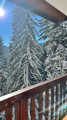 a view of a snow covered mountain from a balcony at ELEA Apartment Mountain Lodge Pamporovo in Pamporovo