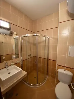 a bathroom with a shower and a toilet and a sink at Cedar Heights Cozy Apartments in Pamporovo