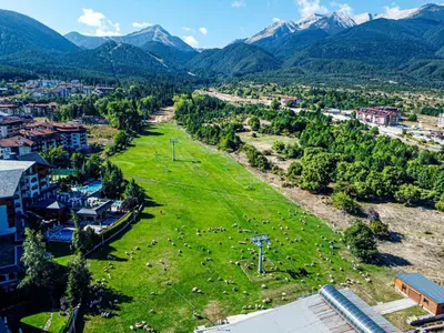 an aerial view of a field with sheep in the grass at IZ VIEW Apartment in Bansko
