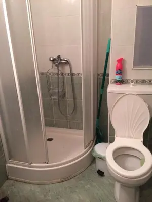 a bathroom with a shower and a toilet at Скиелит 3 in Pamporovo