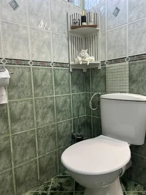 a bathroom with a white toilet in a room at Pirostka Vintage Room in Sofia