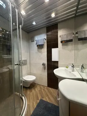 a bathroom with a shower and a toilet and a sink at Rakovski Residence in Sofia