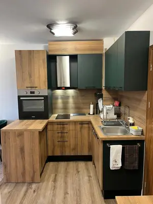 a kitchen with green cabinets and a sink at Elizi winter apartments Pamporovo in Pamporovo