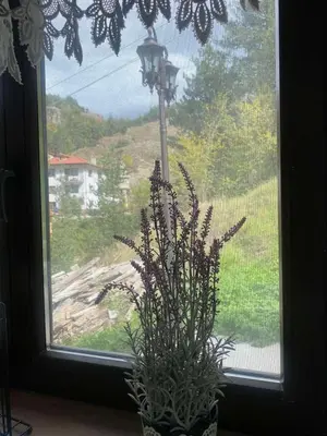 a potted plant sitting in front of a window at Каменната къща in Borowo