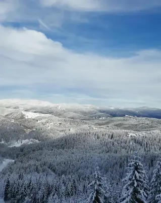 an aerial view of a snow covered mountain with trees at Студио Ая- Смолянски езера in Smolyan