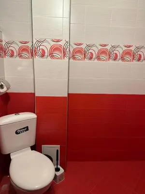a bathroom with a toilet and red and white wall at Къща за гости Арнаудови in Kostandovo