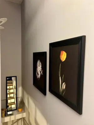 two framed pictures of flowers on a wall at Flower house 9 in Sofia