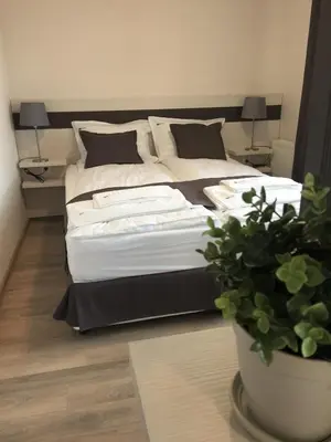 a bedroom with a large bed with a potted plant at Sky Apartments in Blagoevgrad