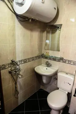 a bathroom with a toilet and a sink at Delchovski Han in Delchevo