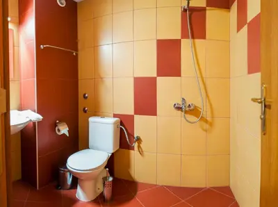 a bathroom with a toilet and a shower at Хотел Дикас in Smolyan