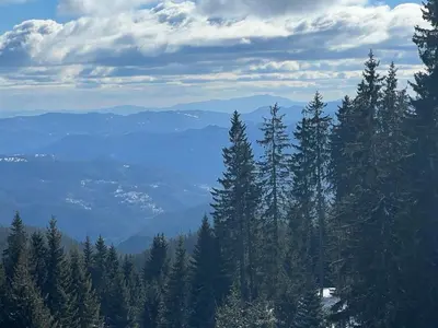 a group of trees on top of a mountain at Bron's Suite in Pamporovo