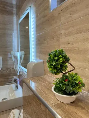 a bathroom with a potted plant on a counter at Стоичковата къща гр. Стрелча in Strelcha