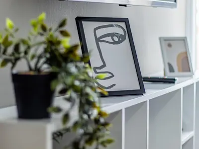 a shelf with a picture and a plant on it at Largo Loft - Central Sofia Studio in Sofia