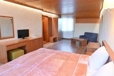 a bedroom with a bed and a desk with a television at Къща за гости ГРАНИТ in Bansko