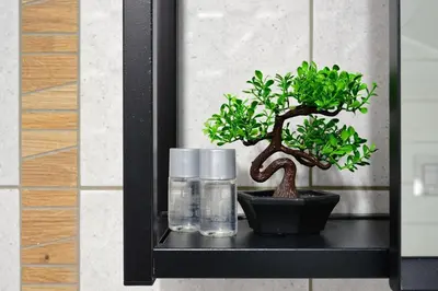 a black shelf with a plant and glasses on it at Sakutski House in Hisarya
