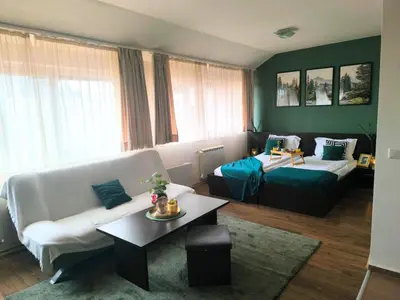 a living room with a couch and a bed at Happy Stay 100mfrom Gondola with free Bottle of Wine and free Parking in Bansko