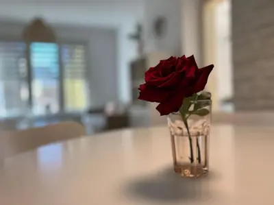 a vase with a red rose sitting on a table at Family friendly downtown apart in Sofia