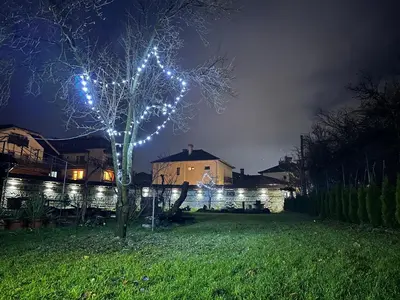 a tree with lights on it in a yard at night at Villa Fest in Bansko