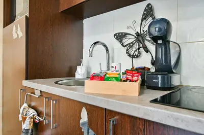 a kitchen counter with a sink and a butterfly on it at Neofit Rilski Apartment (near Vitoshka street) in Sofia