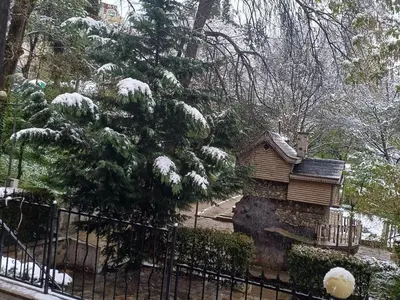 a tree covered in snow next to a fence at Апартаменти Мечето in Sandanski