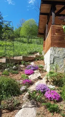 a garden with purple flowers in front of a building at Vila Anna in Ribarica