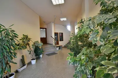 a hallway with a bunch of potted plants at 19 Cozy Central Apartment with Balcony in Sofia