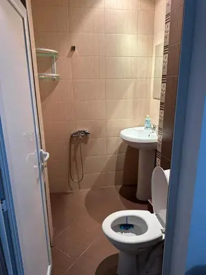 a bathroom with a toilet and a sink at Апартамент Бояна in Plovdiv