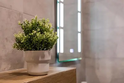 a white vase with a plant sitting on a table at Stylish Studio with Free Parking in Sofia