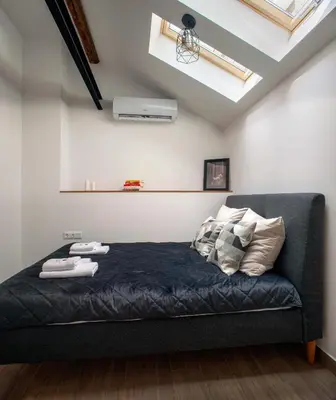 a bedroom with a bed in a room with skylights at Ruby Red House in Sofia