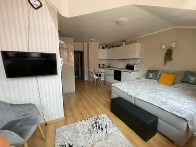 a bedroom with a bed and a living room with a kitchen at The Castle Mountain Apartments in Pamporovo