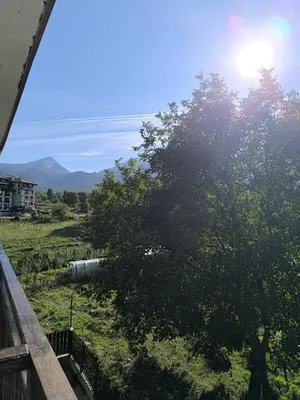 a tree in a field next to a fence at Cozy nature stay, free Bottle of good Wine, Great view, free Parking in Bansko