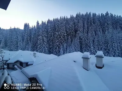a snow covered roof of a house with snow covered trees at Вила 5 - Планински перли in Stoykite